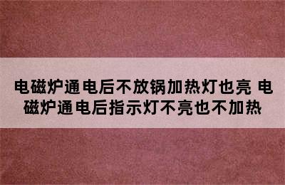 电磁炉通电后不放锅加热灯也亮 电磁炉通电后指示灯不亮也不加热